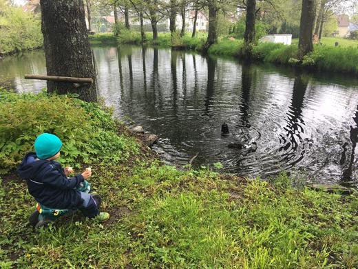 Image_jaro-rybnik-kaceny.jpeg