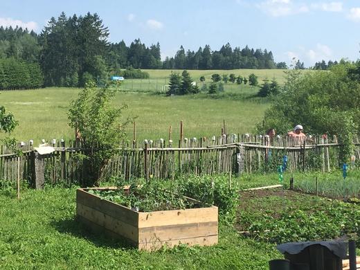 Image_jaro-zahrada-hriste.jpeg