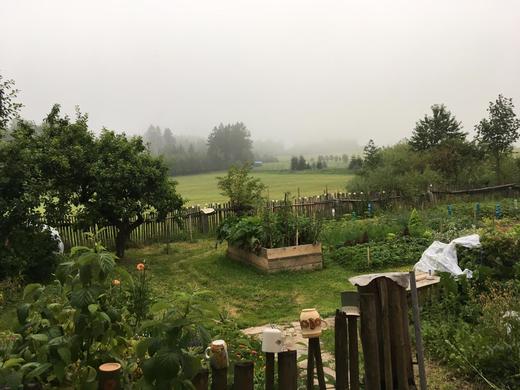 Image_zahrada-2019-07-27.jpeg